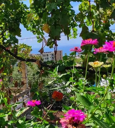 Hébergement de vacances Casa Qeparo